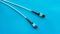 OEM ODM MTP MPO Fiber Patch Cable For Data Center