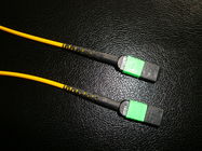 24 48 144 Fiber MTP MPO Fiber Patch Cable SM MM 1m 3m 7m 10m