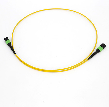 SM MM MPO MTP Trunk Cable Male To Female Fiber Optic Trunk Cable